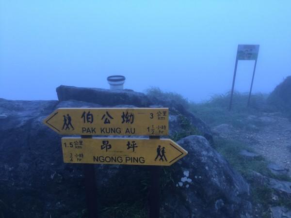 【新春走基层·文化助振兴】高质量文化大餐送上门让百姓乐享“精神年货”——锦州市文联系统文艺迎新春助振兴志愿服务活动盛大启幕