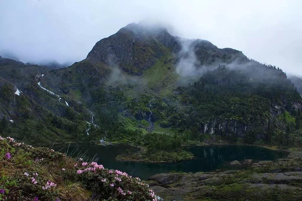 沉浸式体验山水城林,南京玄武湖太平门赏荷栈道正式开放